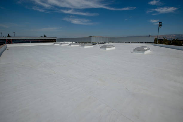 Best Sheet Metal Roofing  in Shelburn, IN